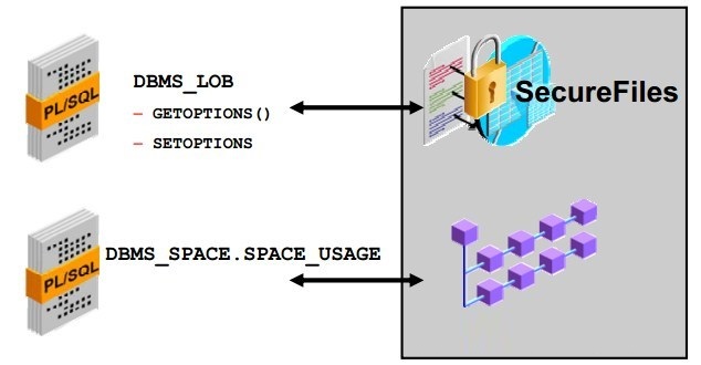 Oracle DB 數據安全管理實踐與火龍果軟件工程應用